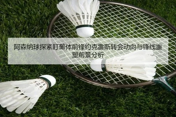 阿森纳球探紧盯葡体前锋约克雷斯转会动向与锋线重塑前景分析